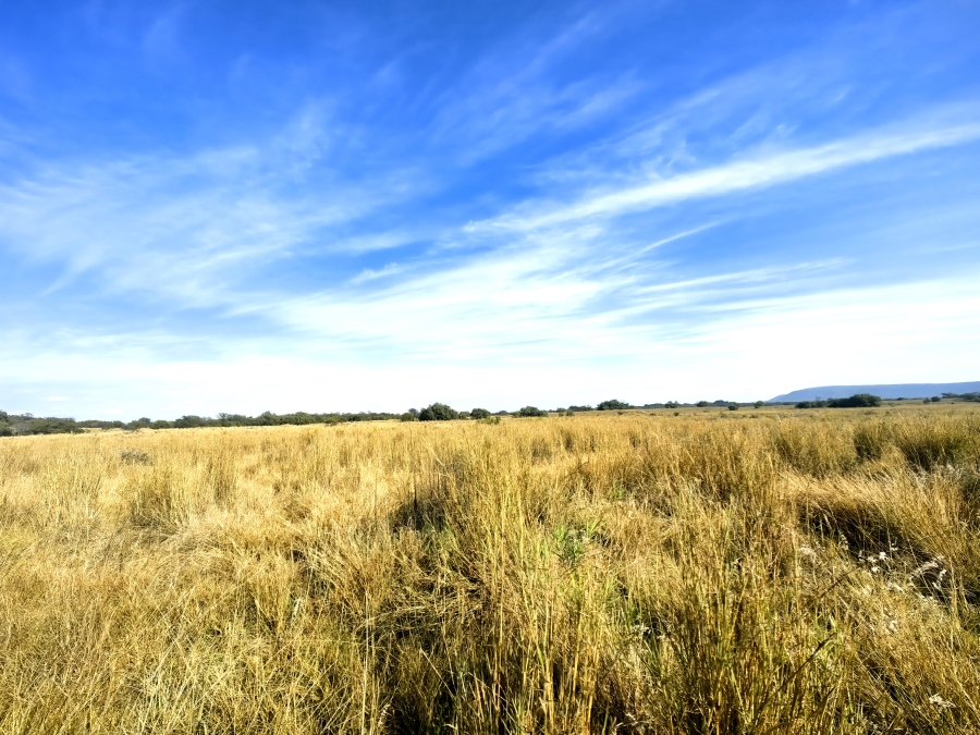Commercial Property for Sale in Swartruggens North West